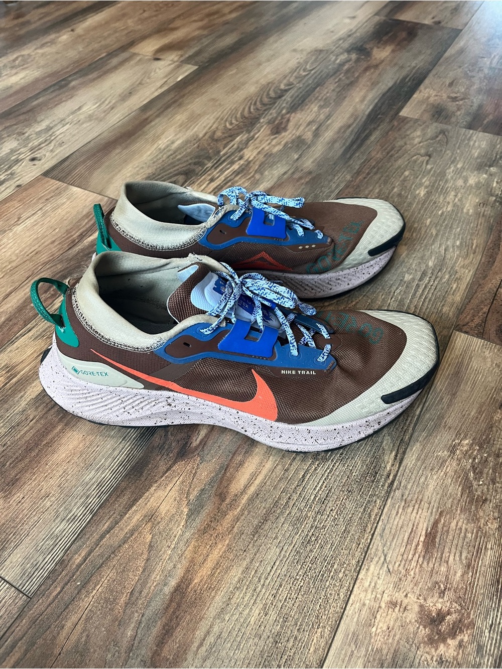 Nike Pegasus Trail 3 GORE-TEX GTX I Love Trail Brown Blue DR0137-200 Men’s 13